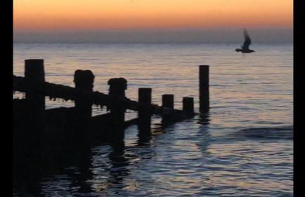 Sea view studio - Foto 12