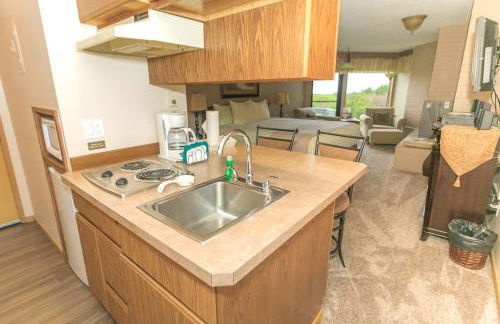 The Grey Gull - Foto 18