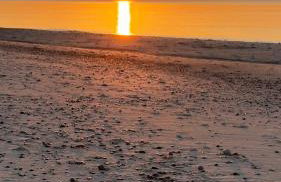 Siedlisko Wytowno - Foto 43