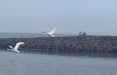 Haus Steffens - Photo 15