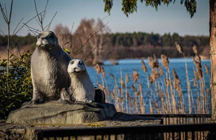 Ferienhaus Lucie Kiebitzsee - Foto 18