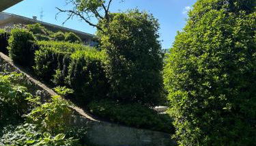 Suite Rose on the lake Arona - Foto 3, Garden, Garden view