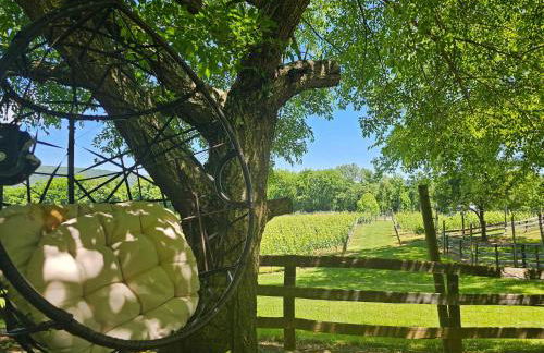 Vinewood Estate & Adventures - Foto 7