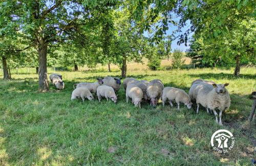 Gîte de Villefeu, 8 personnes - Foto 46
