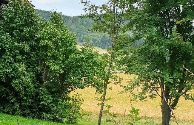 4 Person Holiday Home in Jarvso-by Traum - Photo 36