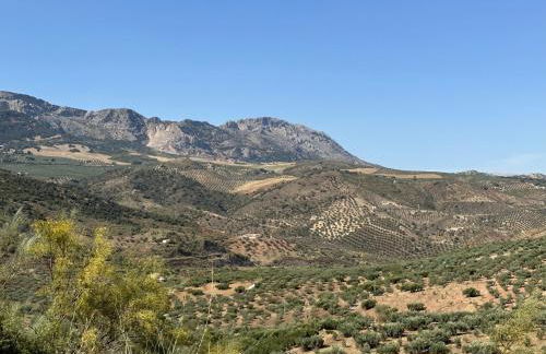 Casa San Jose - Foto 18