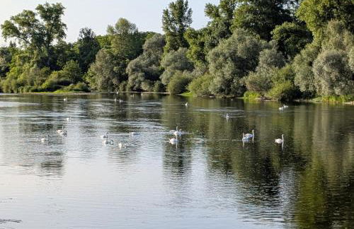 PETIT MAS COSY DU BORD DE LOIRE a 15 MM DU PARC LE PAL - Foto 38
