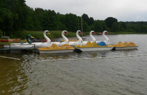 Leśna Wisełka - Foto 37