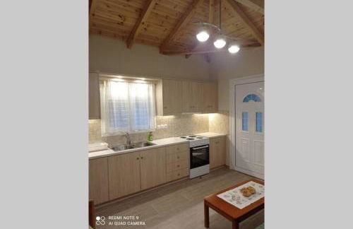 Avocado house - Photo 20