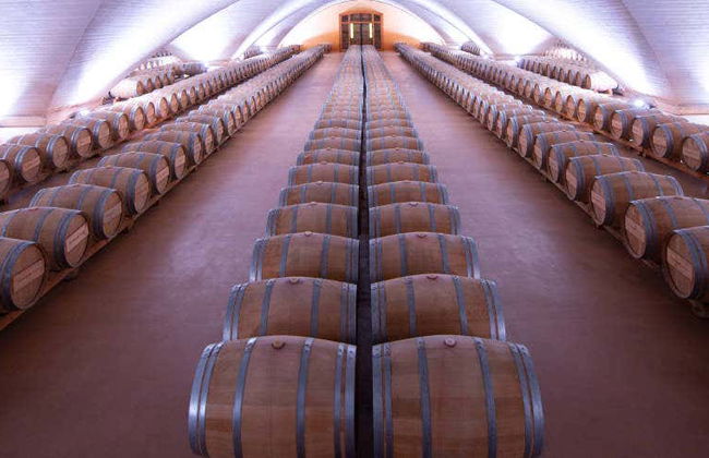 Visita alla cantina Otazu - Foto 1