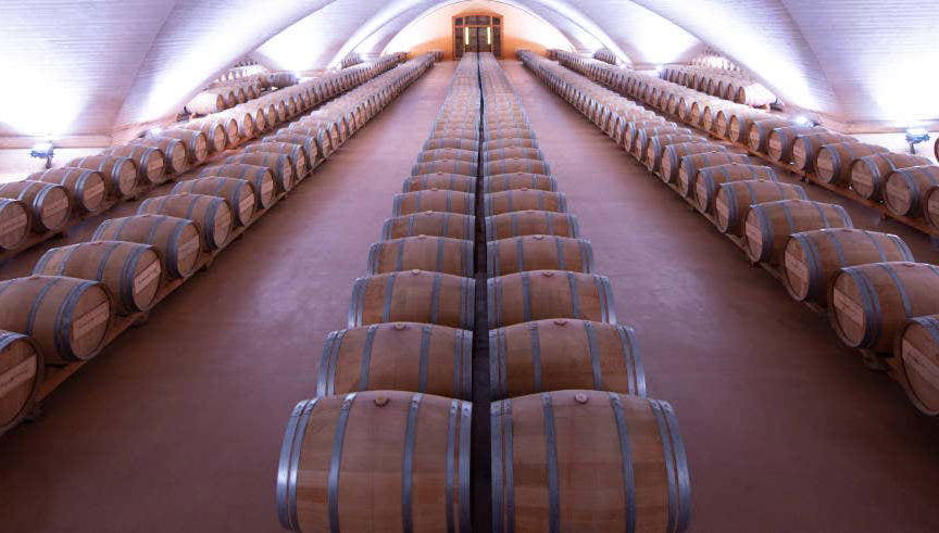 Visite de la Bodega Otazu