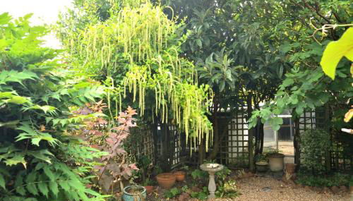 Cosy house, a train spotter's delight! - Foto 3, Garden