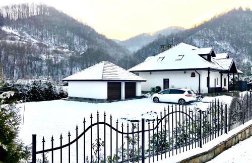 Willa Jagoda duży domek w górach 12-15 osób,jacuzzi, kominek,bilard - Foto 2