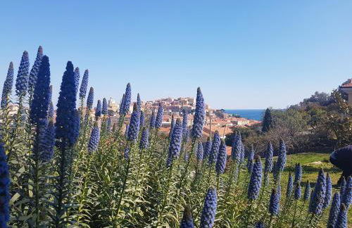 Villa Caterina - Foto 37