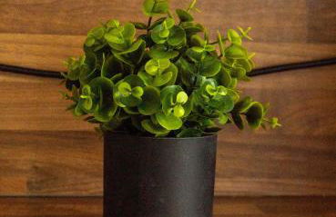 Stock Street Apartment - Foto 25