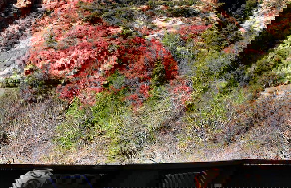 Junipine Resort - Foto 78