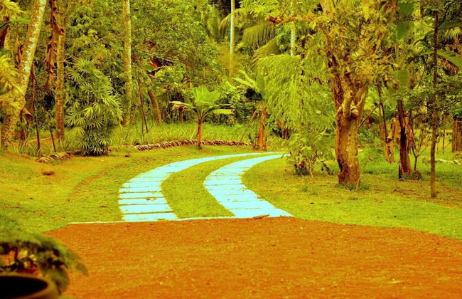 Charming & Historical 3-bed Bungalow in Hikkaduwa - Photo 30