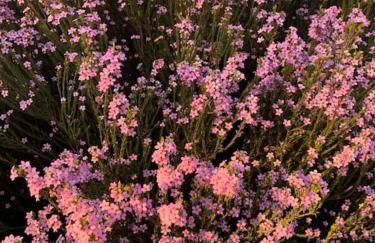 Superbe terrasse avec vue panoramique sur la mer - Foto 75