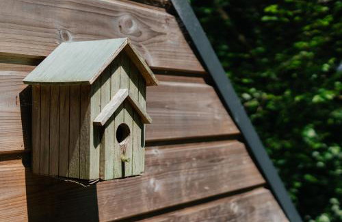 Gite Nichoir - La Corne d'Or - Foto 15