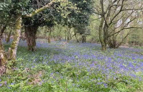 Spout House Studio - Photo 33