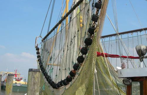 Appartements Krüger - Foto 31