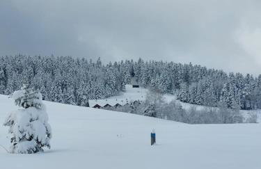 Ptaszkova PrzyStań - Photo 21