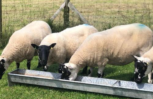 Eden House Retreat - Foto 16