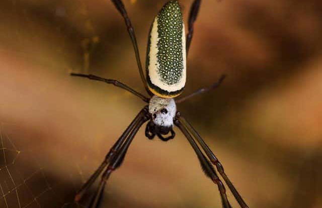 Tingana Nature Reserve Private Day Trip - Photo 5