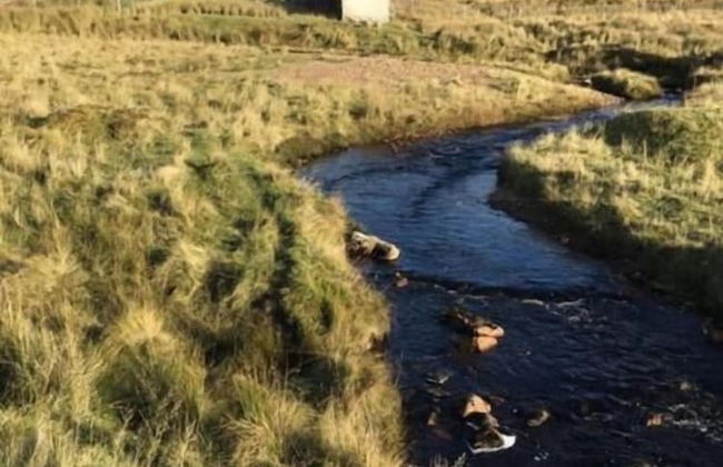 Garvault House - Photo 38