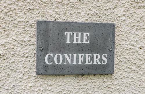 The Conifers - Foto 2