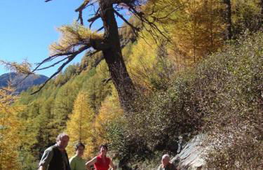 Gästehaus Pfeffererlehen - Foto 21