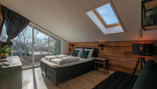 Villa Near Dutch Dunes With Sun-facing Garden - Foto 4, Habitación