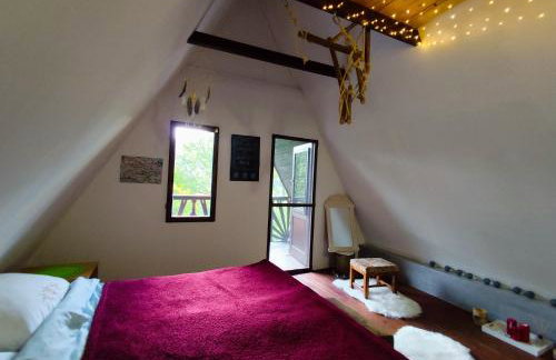UNDER THE GREEN ROOF - Foto 57