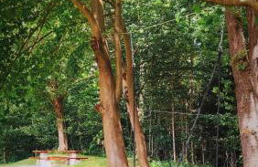 Domek Dzikie Lisko - Foto 25