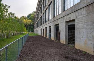 5103 Peters New Industrial Loft on Lebanon Bike Trail - Foto 1