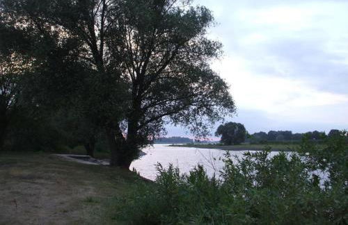 Holiday Home Oderhäuschen by Interhome - Photo 19