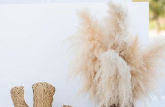 The Olive Boutique Suites and Spa - Foto 36