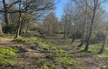 The Woodlands 3bed 2bath 4 mile Durham City - Photo 38