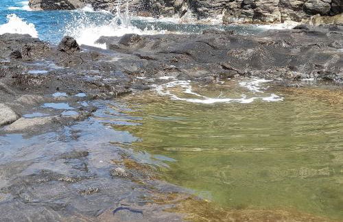 O Aconchegadinho - Photo 20