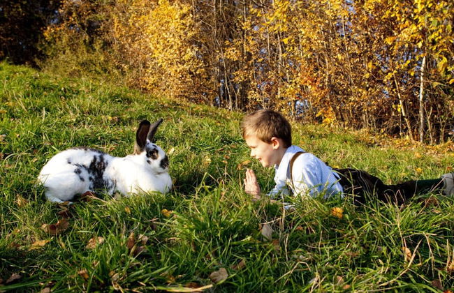 Apartment in St. Stefan im Rosental - Foto 16