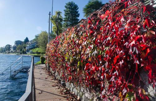 AnMa Cottages The Secret Garden - Foto 75