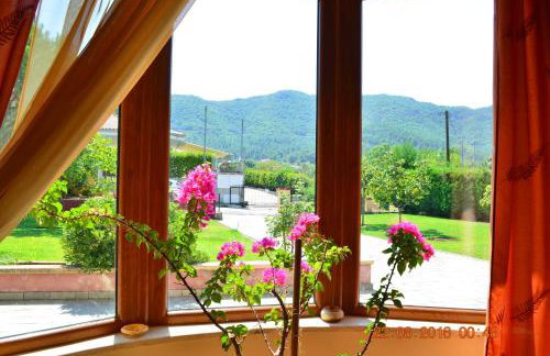 Kavala Villa 360 degrees green - Foto 42