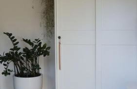 Ackermannia - Foto 10