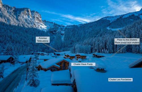 Chalet Hauts forts prodains Mountain Voyages - Foto 1