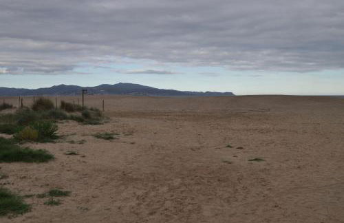 Near Beach - Foto 17