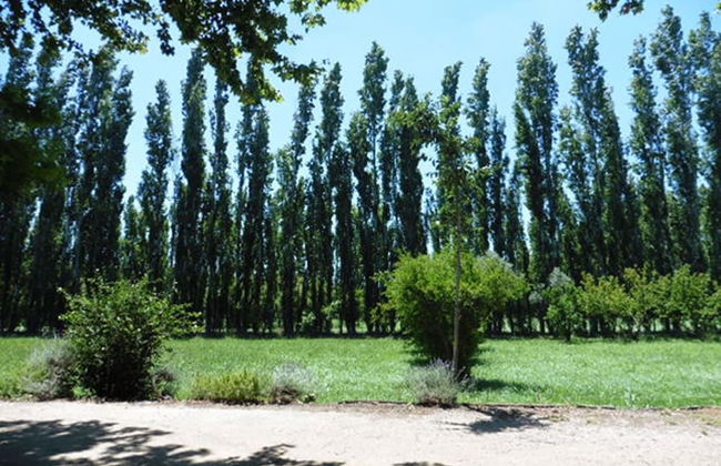 Country House With Private Terrace, Beaucaire - Foto 14