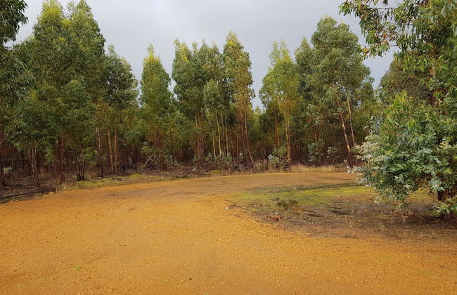 Nutkin Lodge - Photo 56