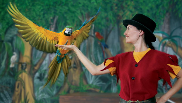 Zoomarine theme park - 2 Days ticket only - Photo 3