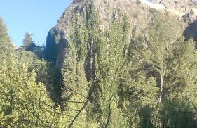 CASA DEL VIDRIO - Foto 37