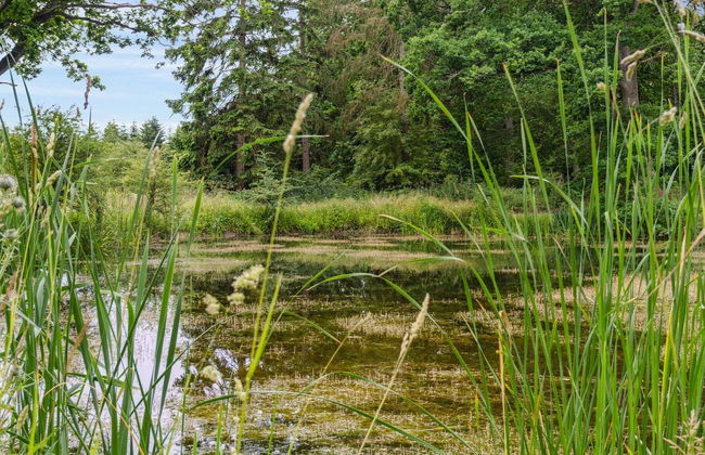 "Nell" - 3.2km to the inlet - Foto 5